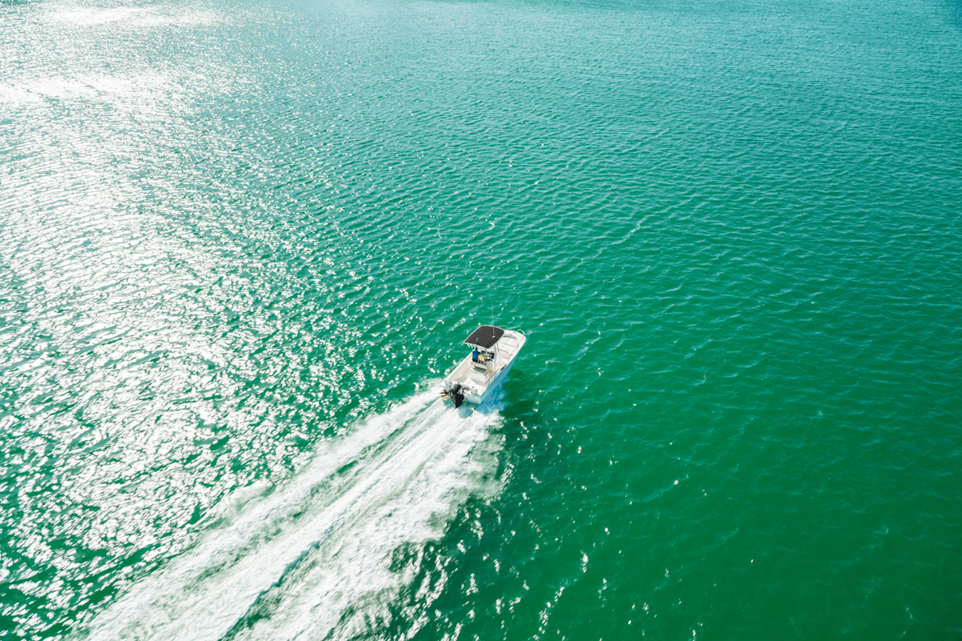 BOSTON WHALER 190 MONTAUK, photo 11