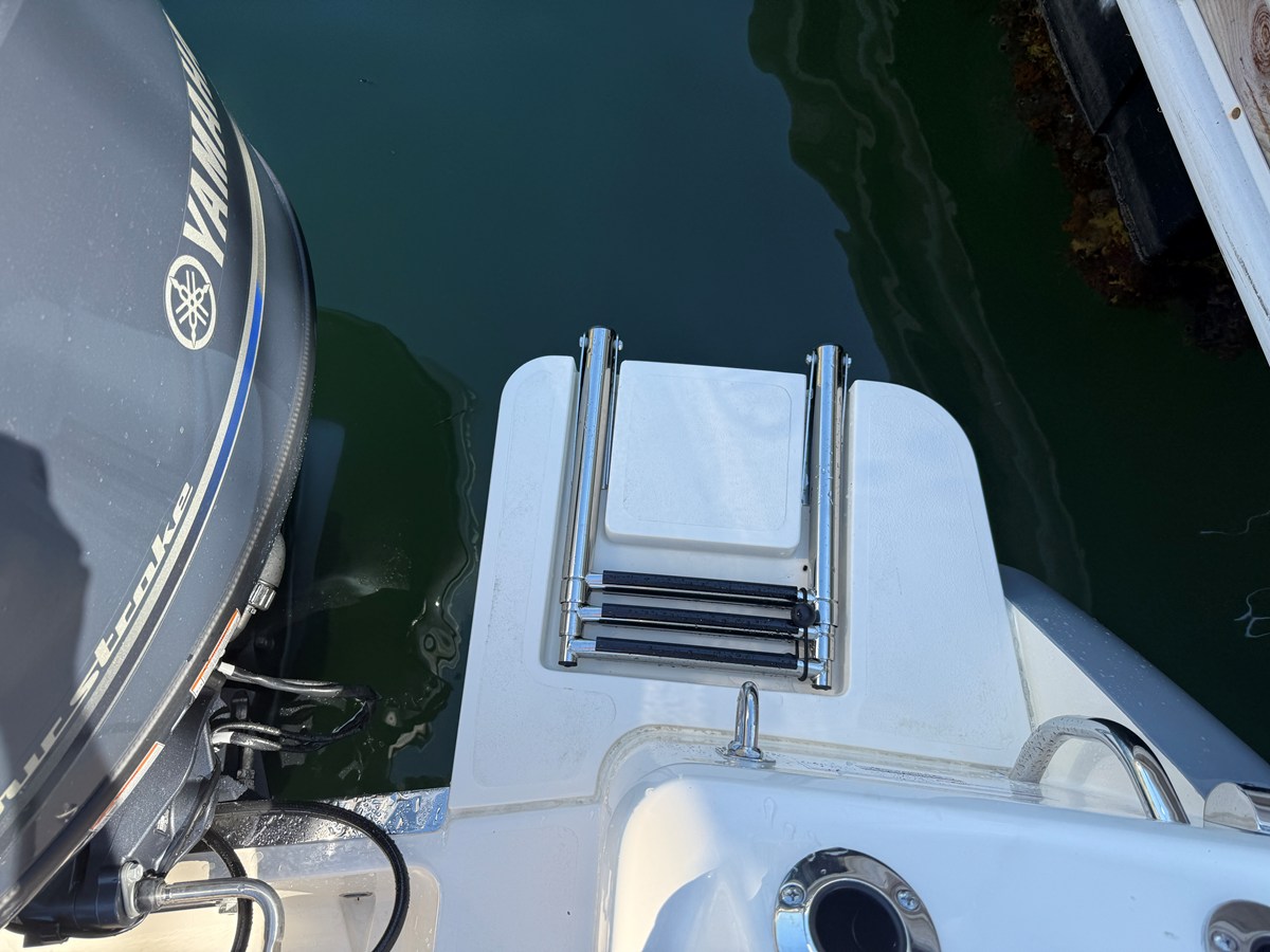 SCOUT 188 SPORT DORADO, photo 8