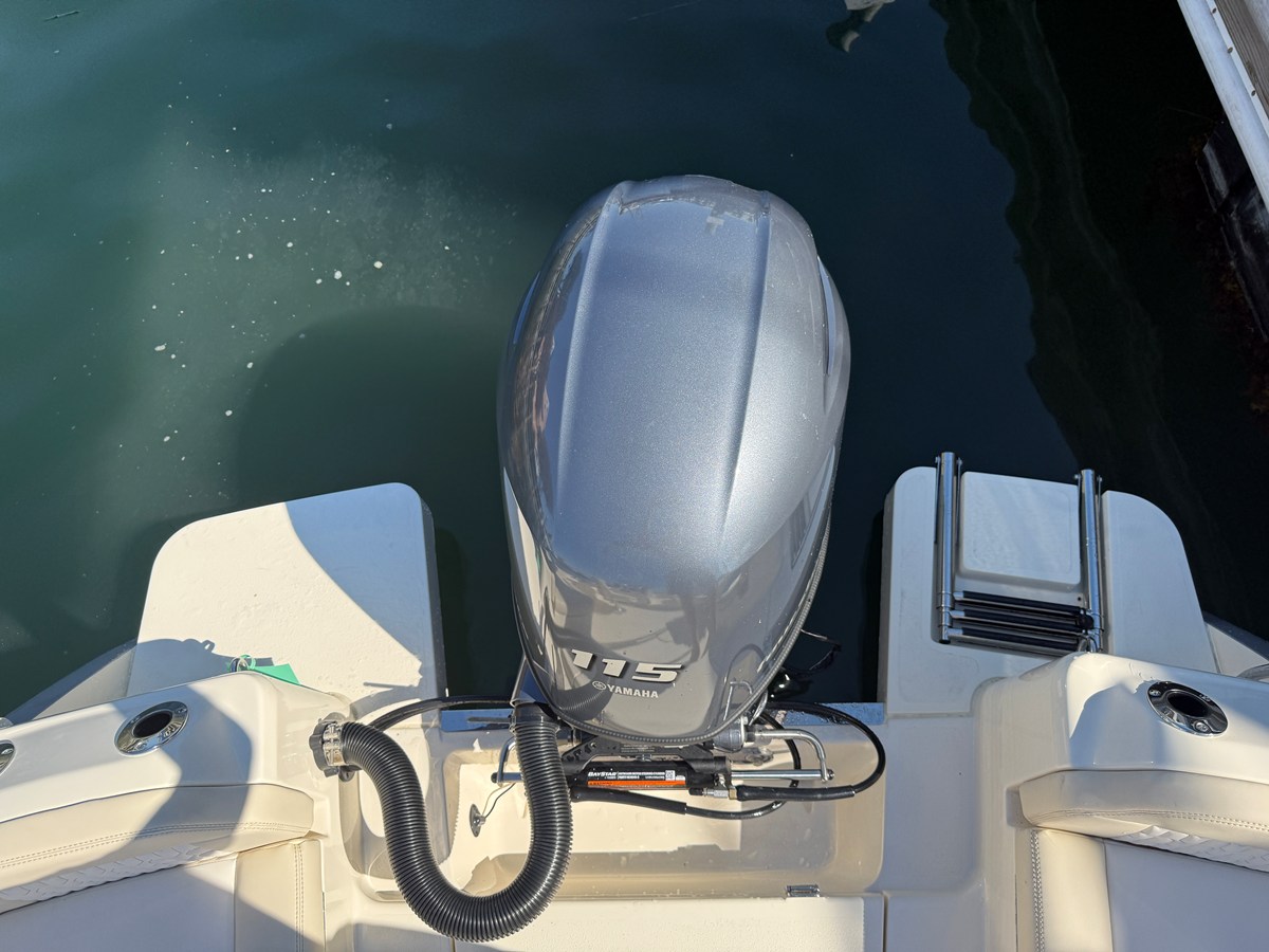 SCOUT 188 SPORT DORADO, photo 9
