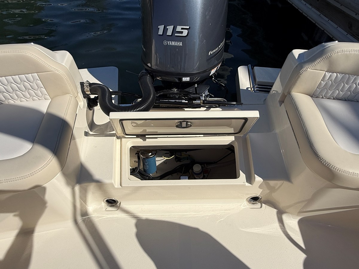 SCOUT 188 SPORT DORADO, photo 10