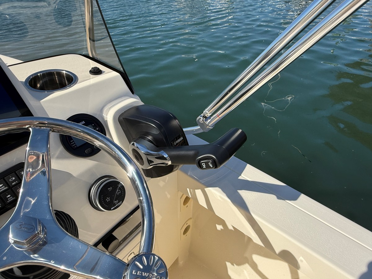SCOUT 188 SPORT DORADO, photo 14