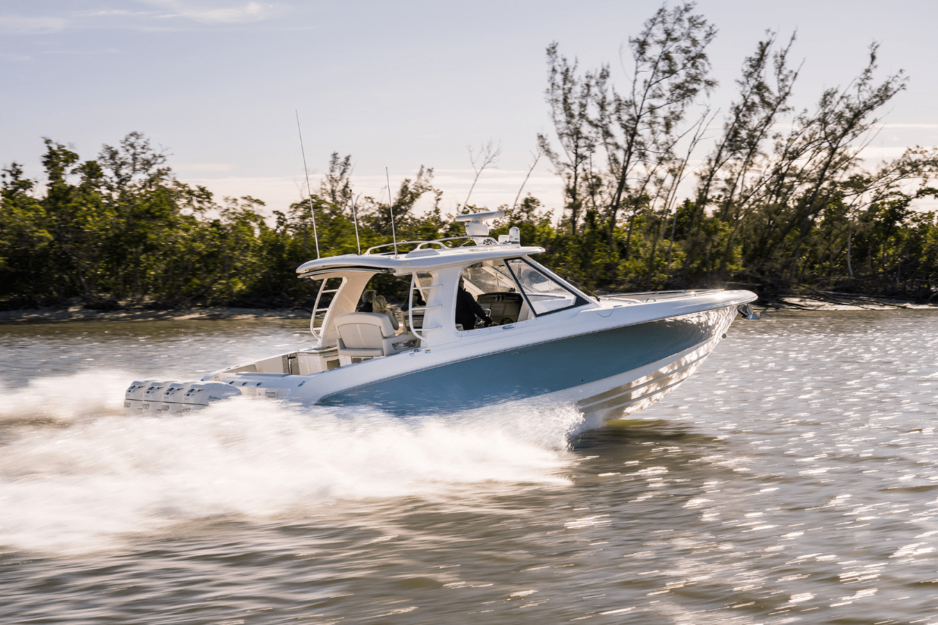BOSTON WHALER 380 REALM, photo 2