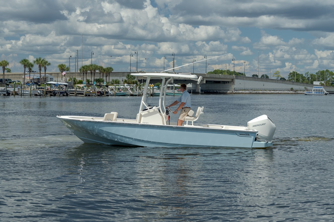 Boston Whaler 210 Montauk — 2027 Boston Whaler 210 Montauk