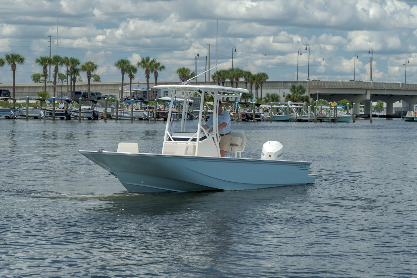 Boston Whaler 210 Montauk — 2027 Boston Whaler 210 Montauk — photo 2