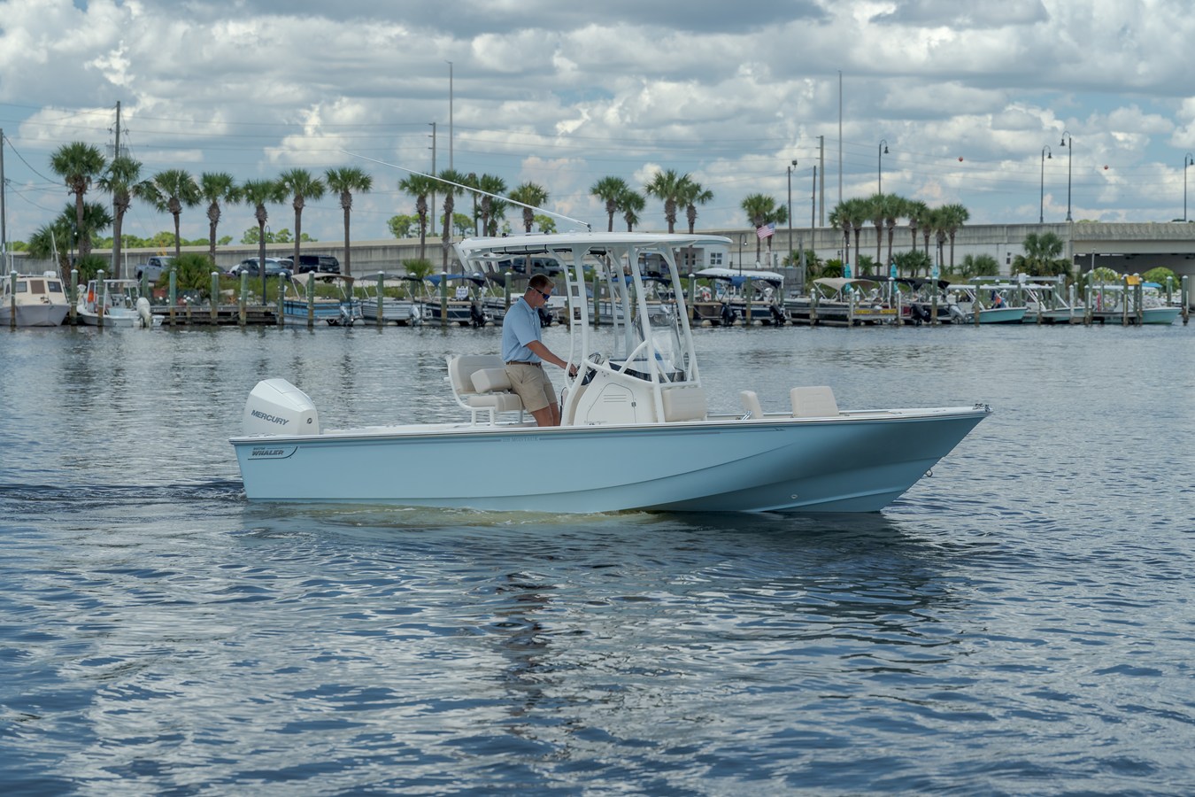 Boston Whaler 210 Montauk — 2027 Boston Whaler 210 Montauk — photo 5