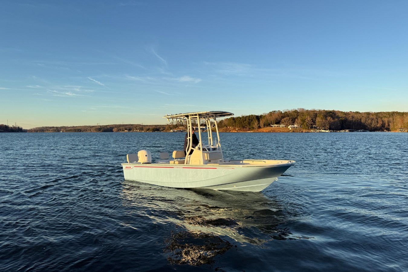 BOSTON WHALER 190 MONTAUK, photo 6