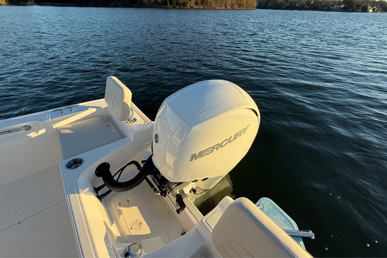 BOSTON WHALER 190 MONTAUK, photo 8