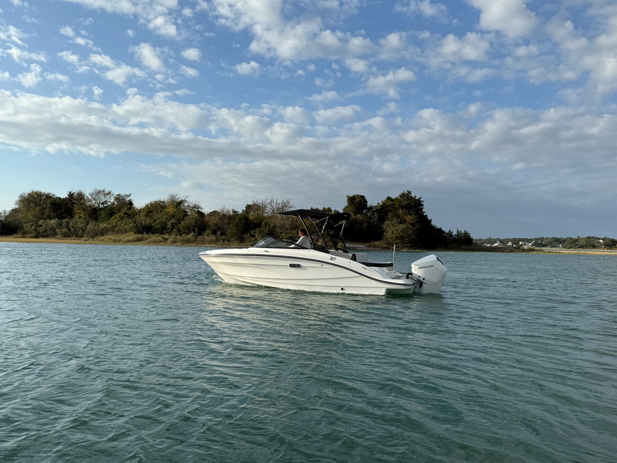 Sea Ray SPX 210 Outboard — 2026 Sea Ray SPX 210 Outboard — photo 3
