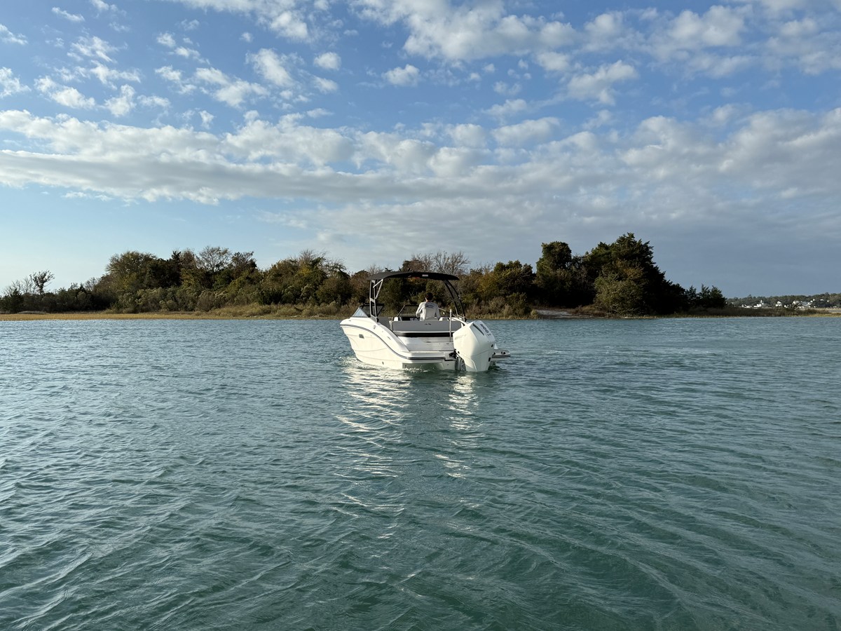 Sea Ray SPX 210 Outboard — 2026 Sea Ray SPX 210 Outboard — photo 4