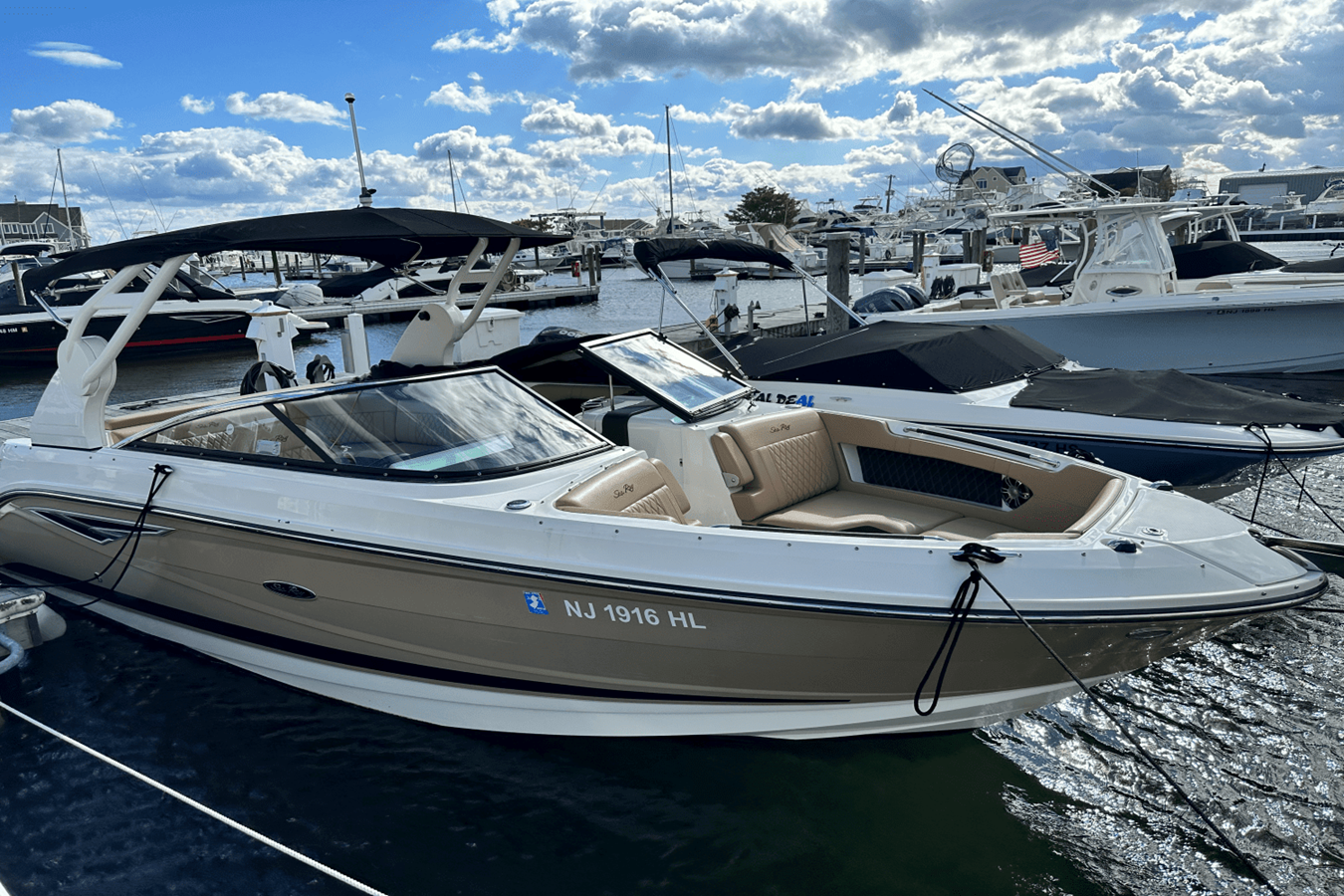 Sea Ray 250 SLX — 2019 Sea Ray 250 SLX — photo 3