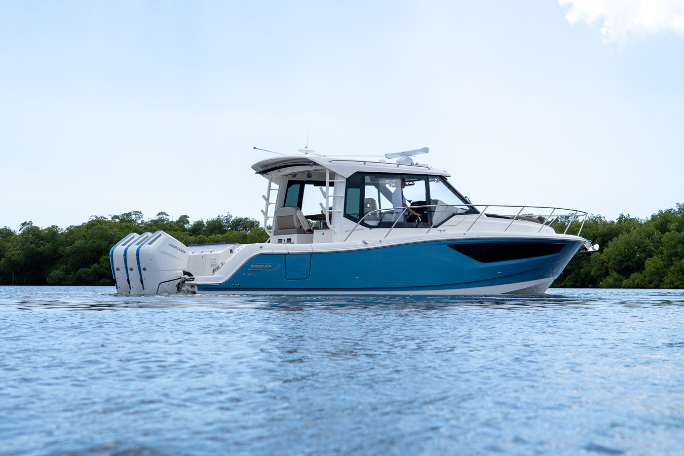 BOSTON WHALER 365 CONQUEST, photo 3