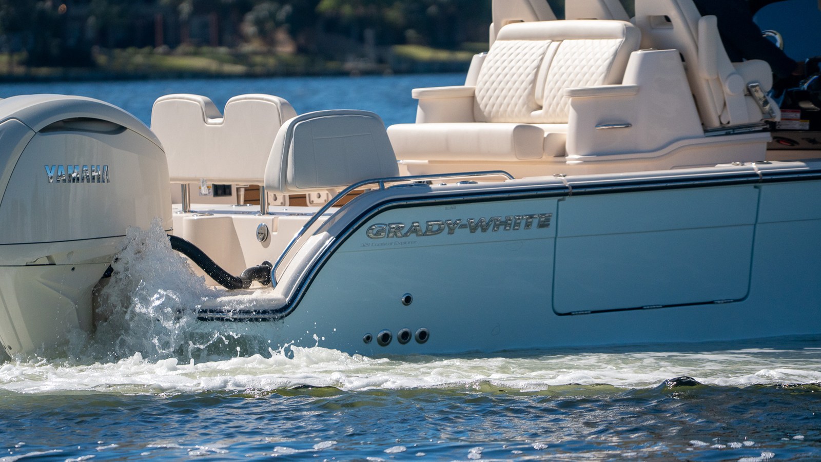 GRADY-WHITE 321 CE, photo 3