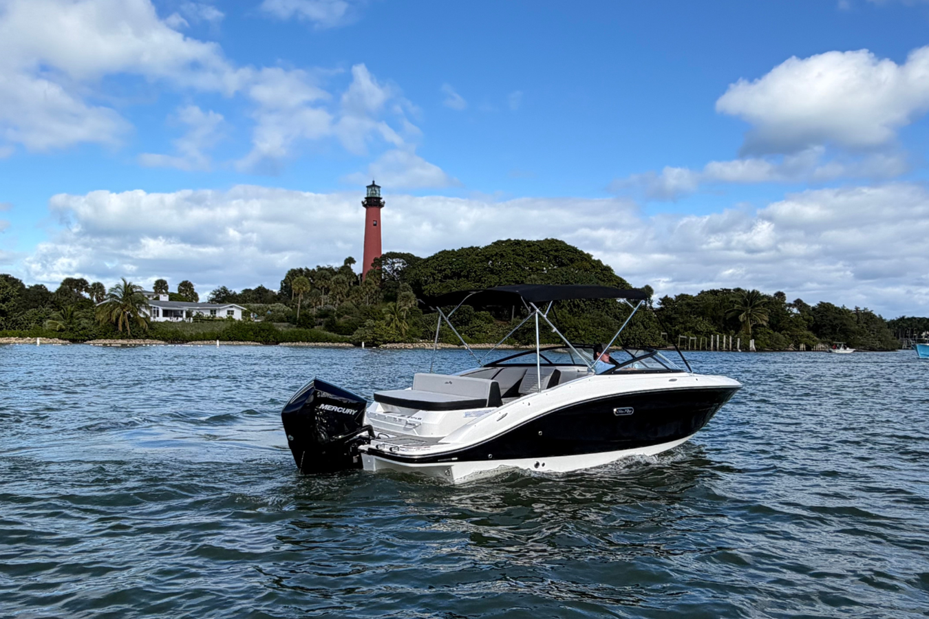 Sea Ray SPX 210 Outboard — 2026 Sea Ray SPX 210 Outboard — photo 3