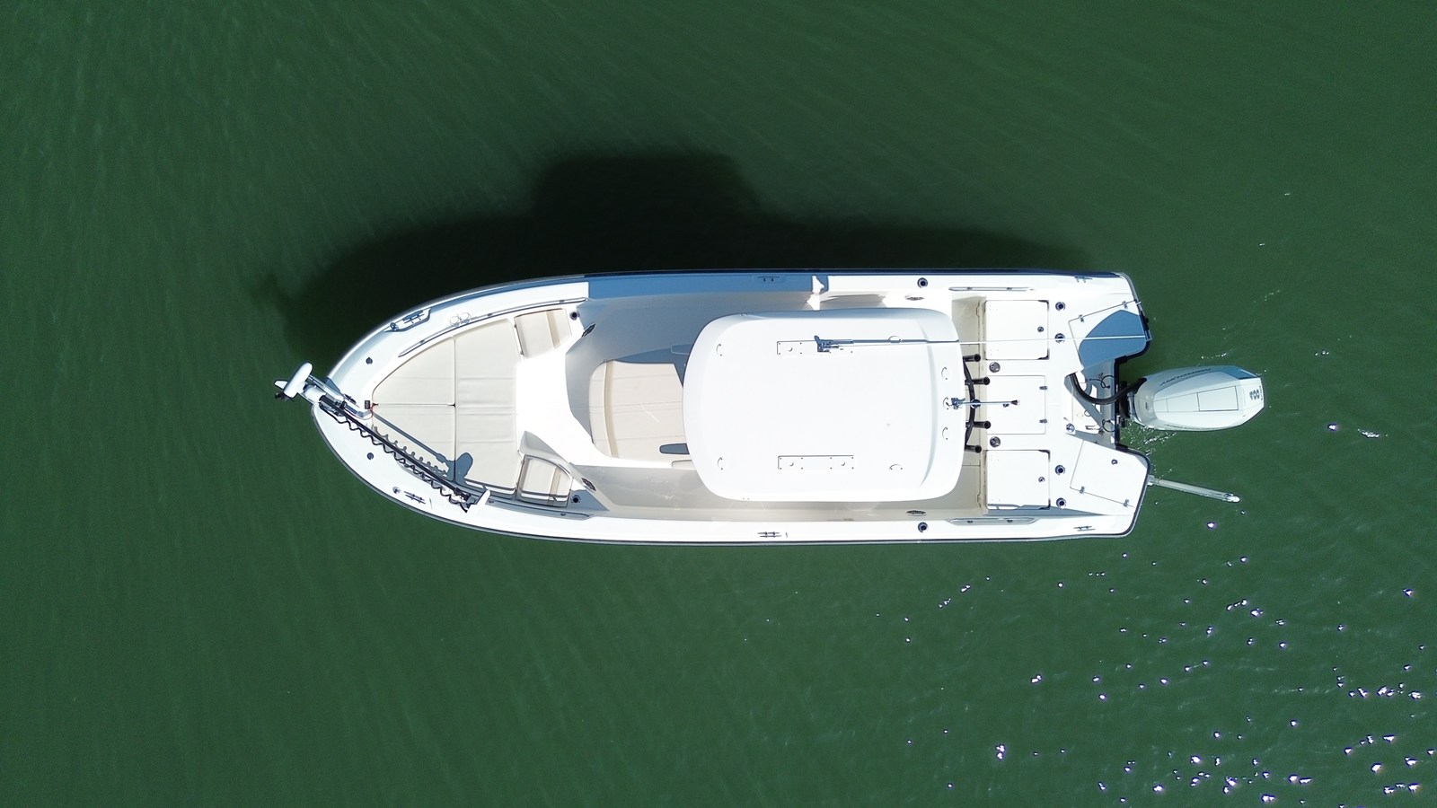 Boston Whaler 250 DAUNTLESS — 2025 Boston Whaler 250 Dauntless — photo 5