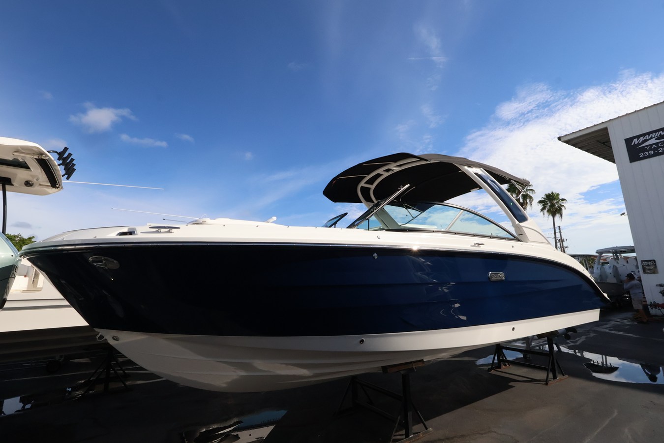 Sea Ray SEA RAY SDX 270 OUTBOARD