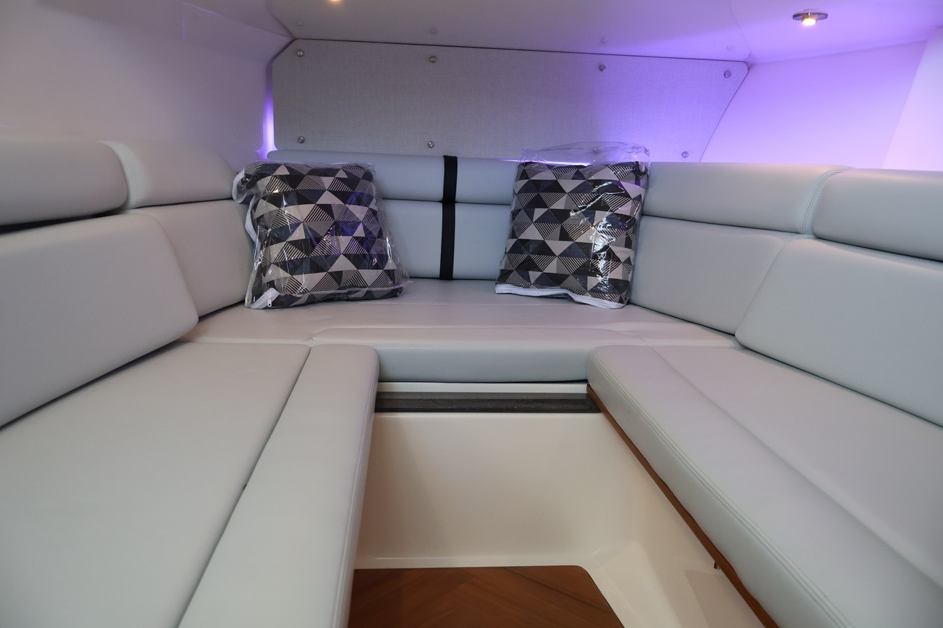 BOSTON WHALER 350 REALM, photo 41