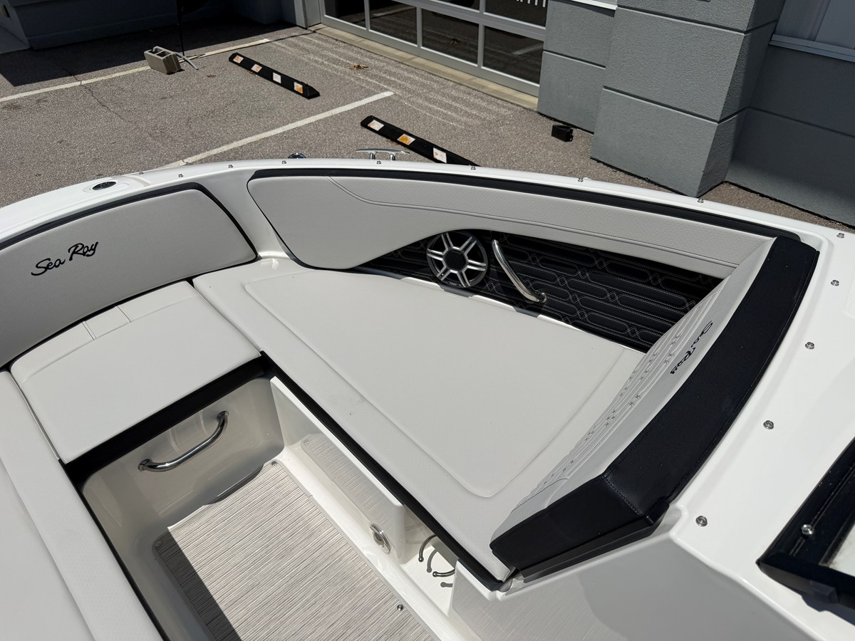 SEA RAY SPX 210, photo 43