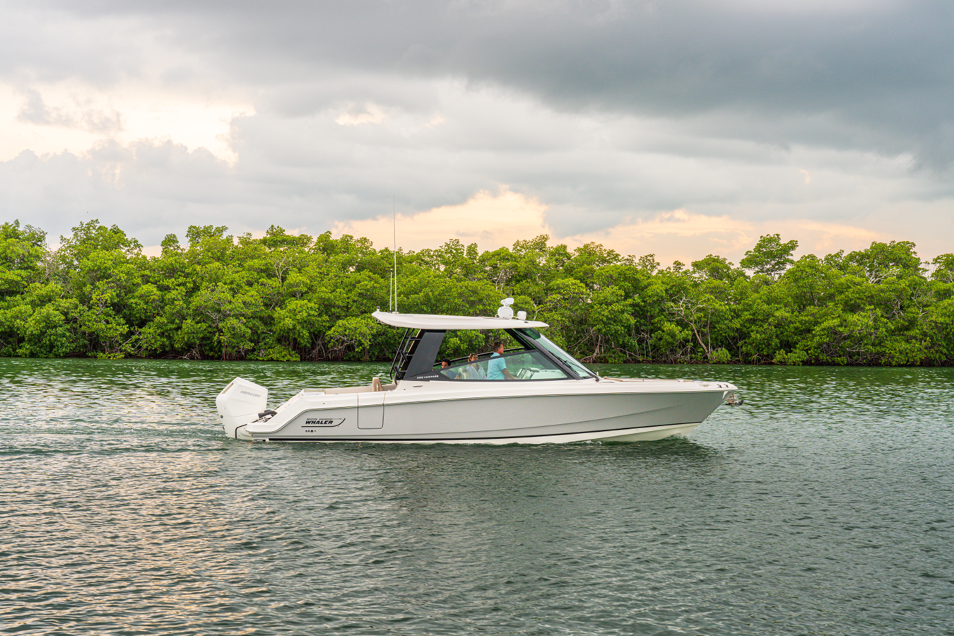 BOSTON WHALER 330 VANTAGE, photo 5