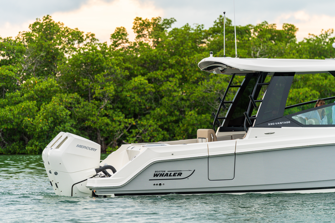 BOSTON WHALER 330 VANTAGE, photo 8