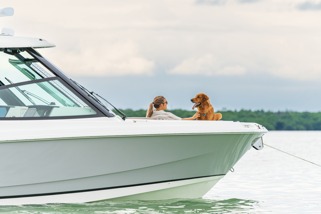 BOSTON WHALER 330 VANTAGE, photo 28