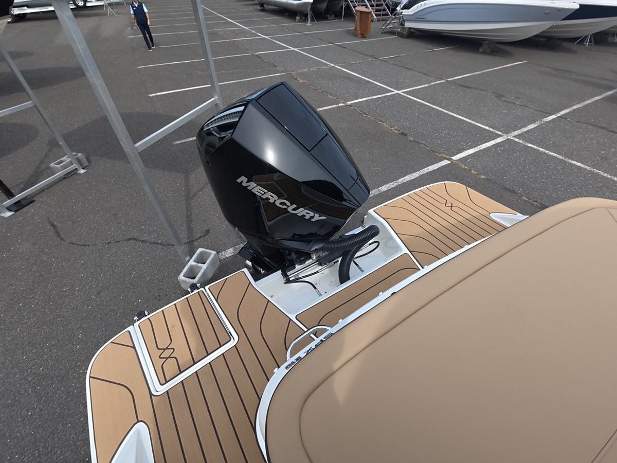 SEA RAY SPX 210 OUTBOARD, photo 4