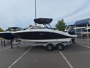 SEA RAY SPX 210 OUTBOARD