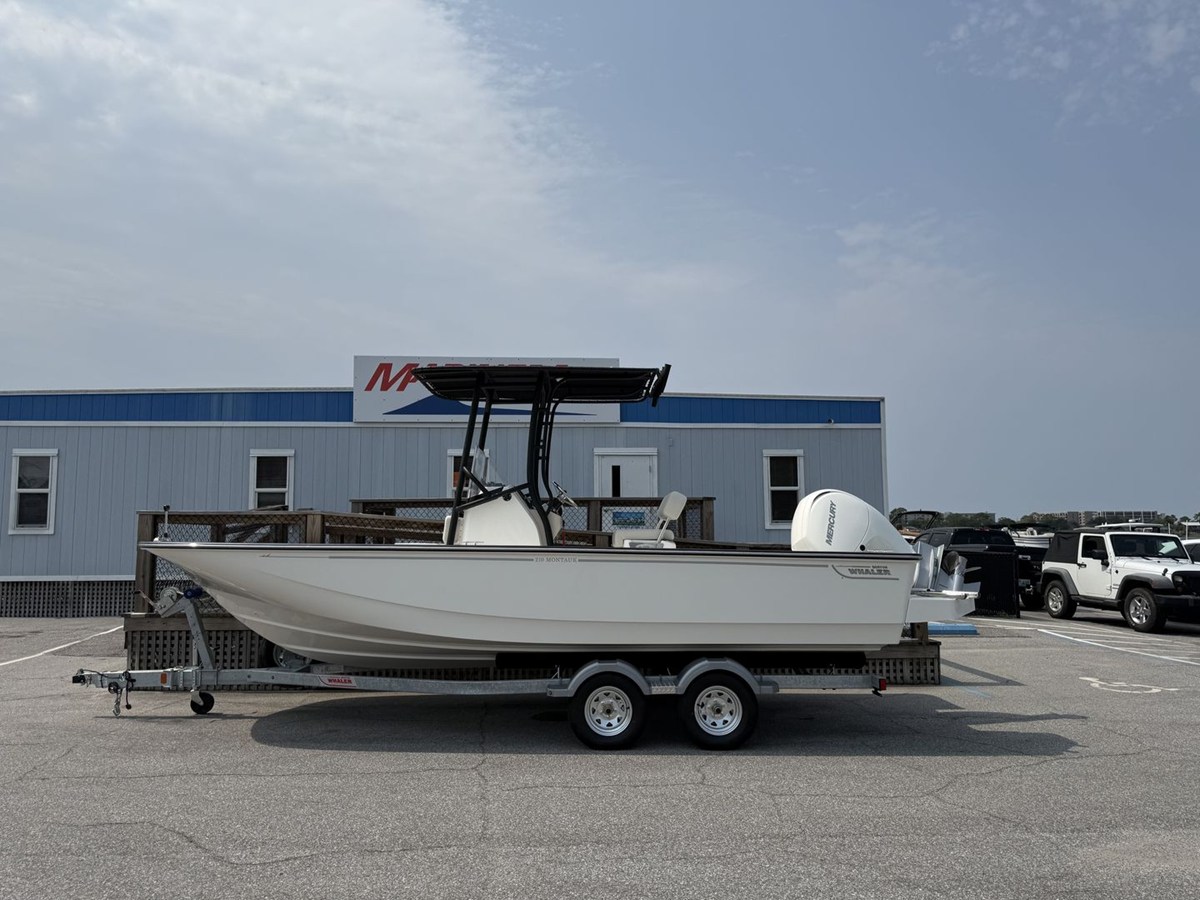 Boston Whaler BOSTON WHALER 210 MONTAUK