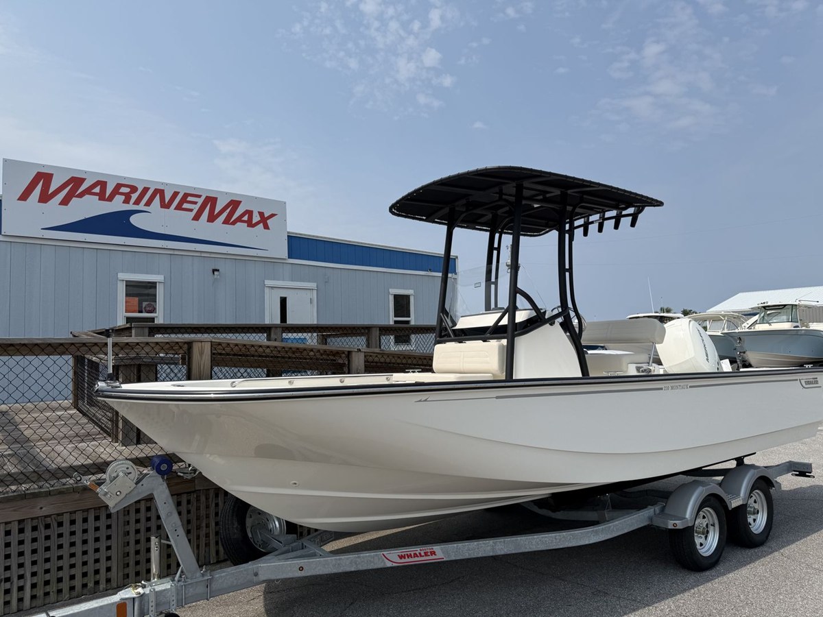 BOSTON WHALER 210 MONTAUK, photo 2