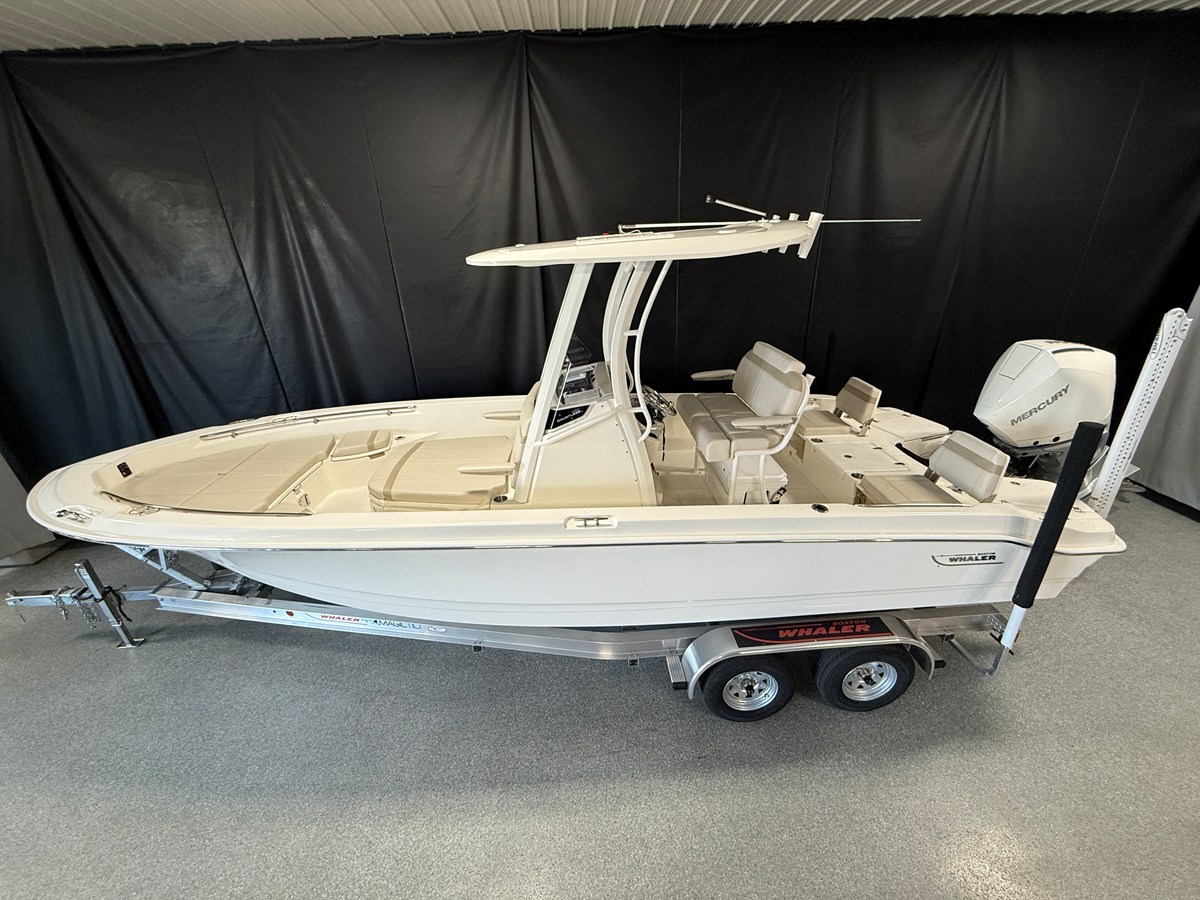 BOSTON WHALER 250 DAUNTLESS, photo 2