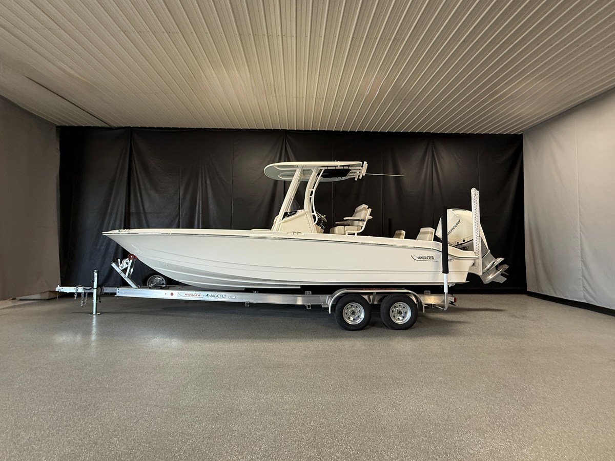 BOSTON WHALER 250 DAUNTLESS, photo 3