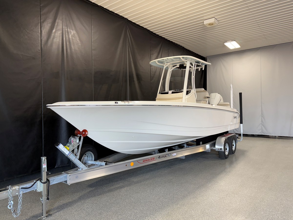 BOSTON WHALER 250 DAUNTLESS, photo 4