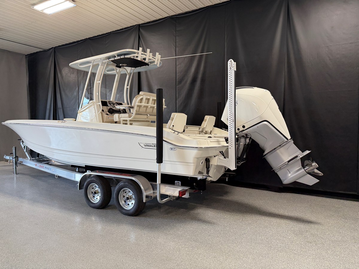 BOSTON WHALER 250 DAUNTLESS, photo 5