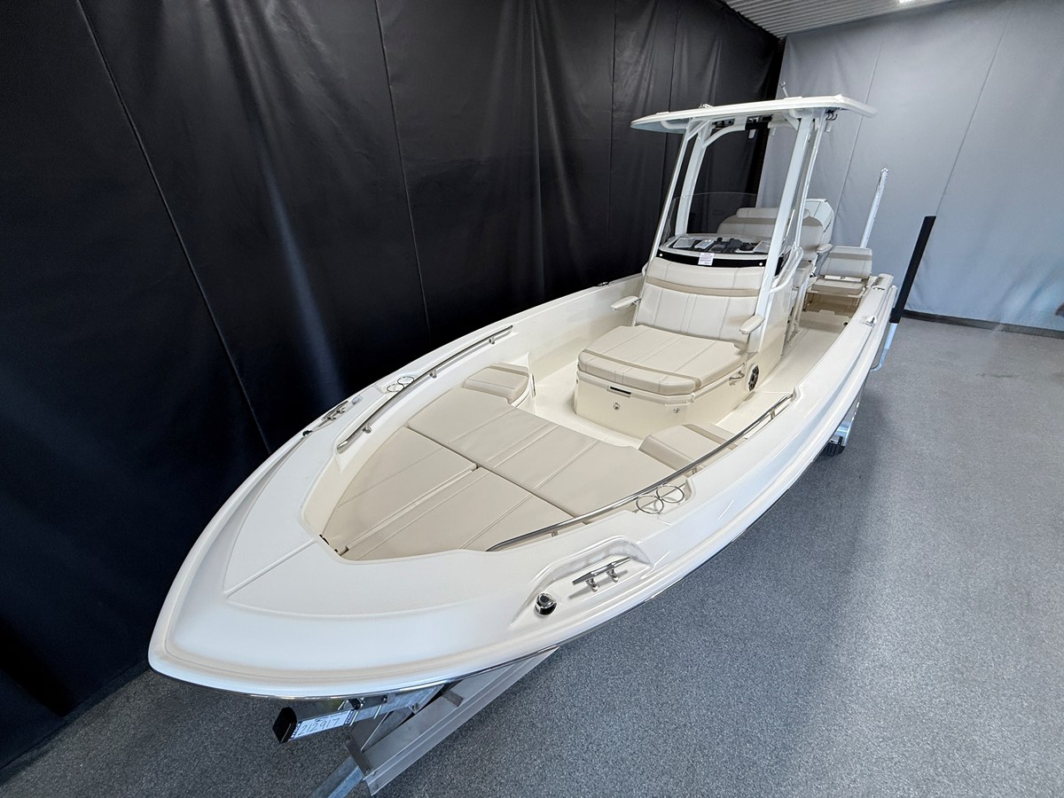 BOSTON WHALER 250 DAUNTLESS, photo 6