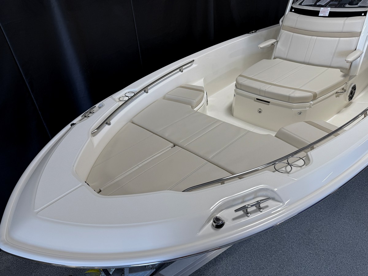 BOSTON WHALER 250 DAUNTLESS, photo 7