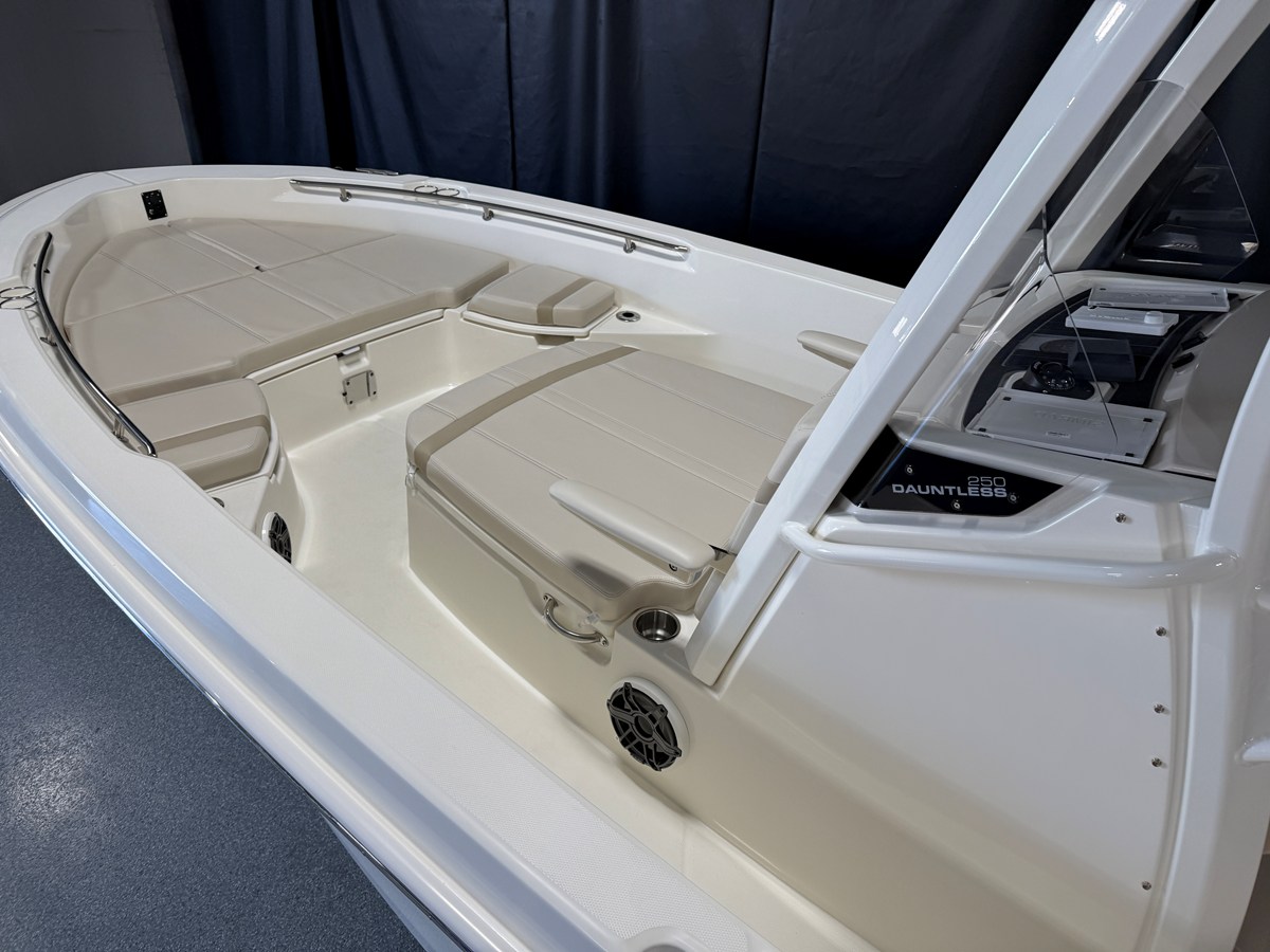BOSTON WHALER 250 DAUNTLESS, photo 8