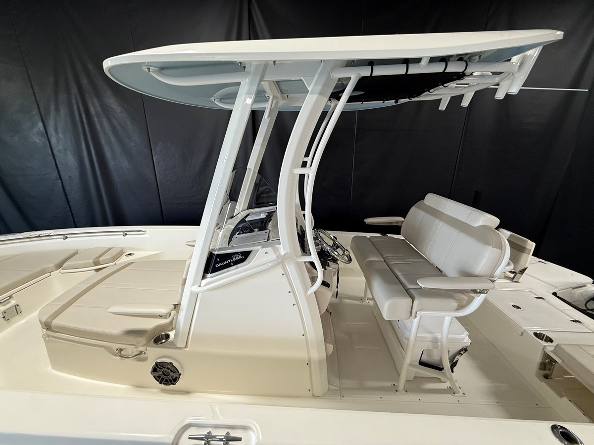 BOSTON WHALER 250 DAUNTLESS, photo 9