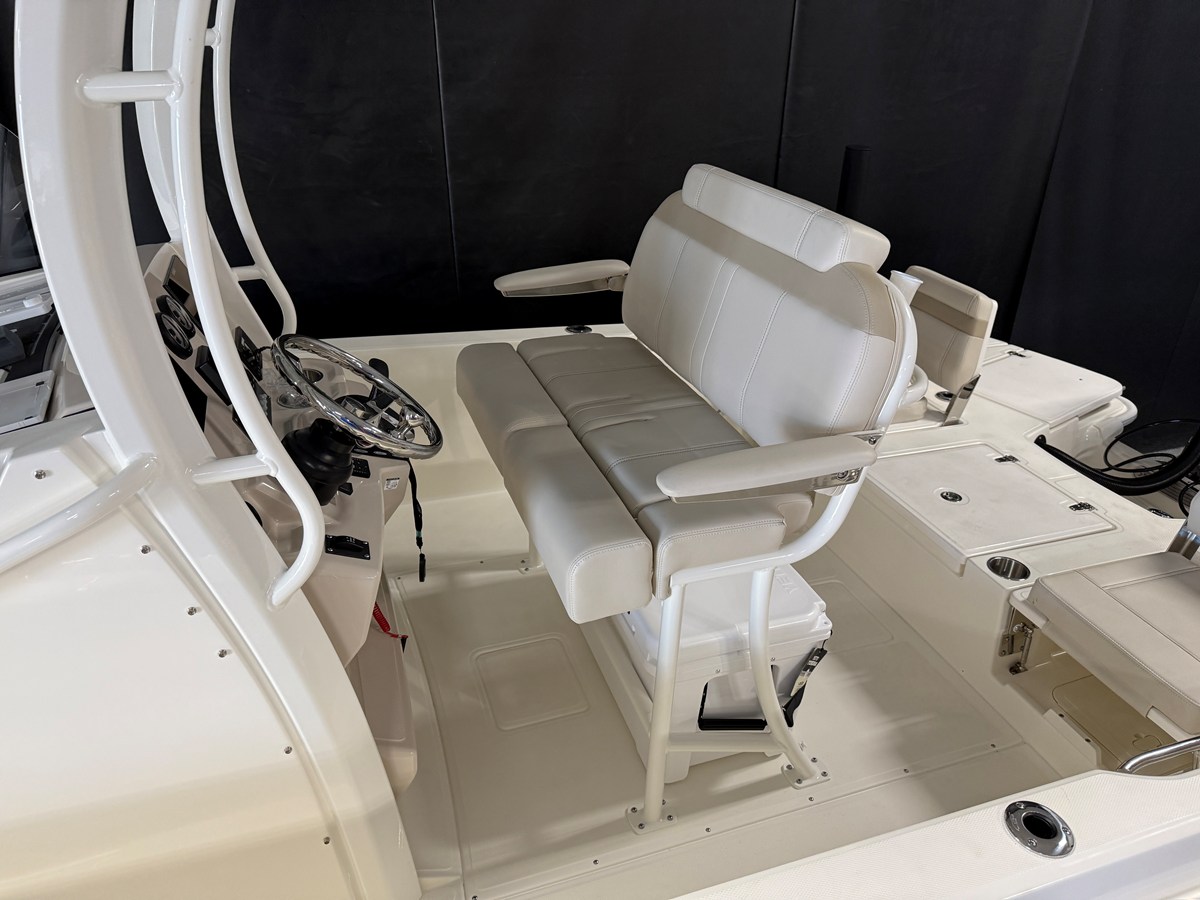 BOSTON WHALER 250 DAUNTLESS, photo 10