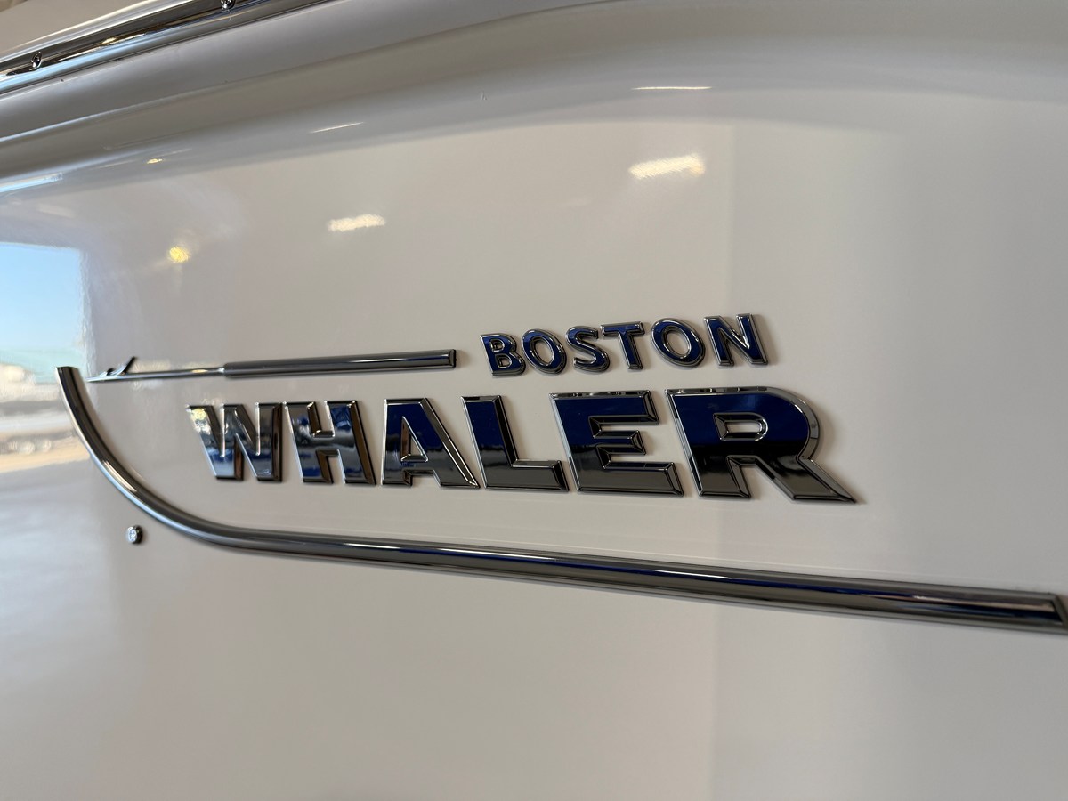 BOSTON WHALER 250 DAUNTLESS, photo 13