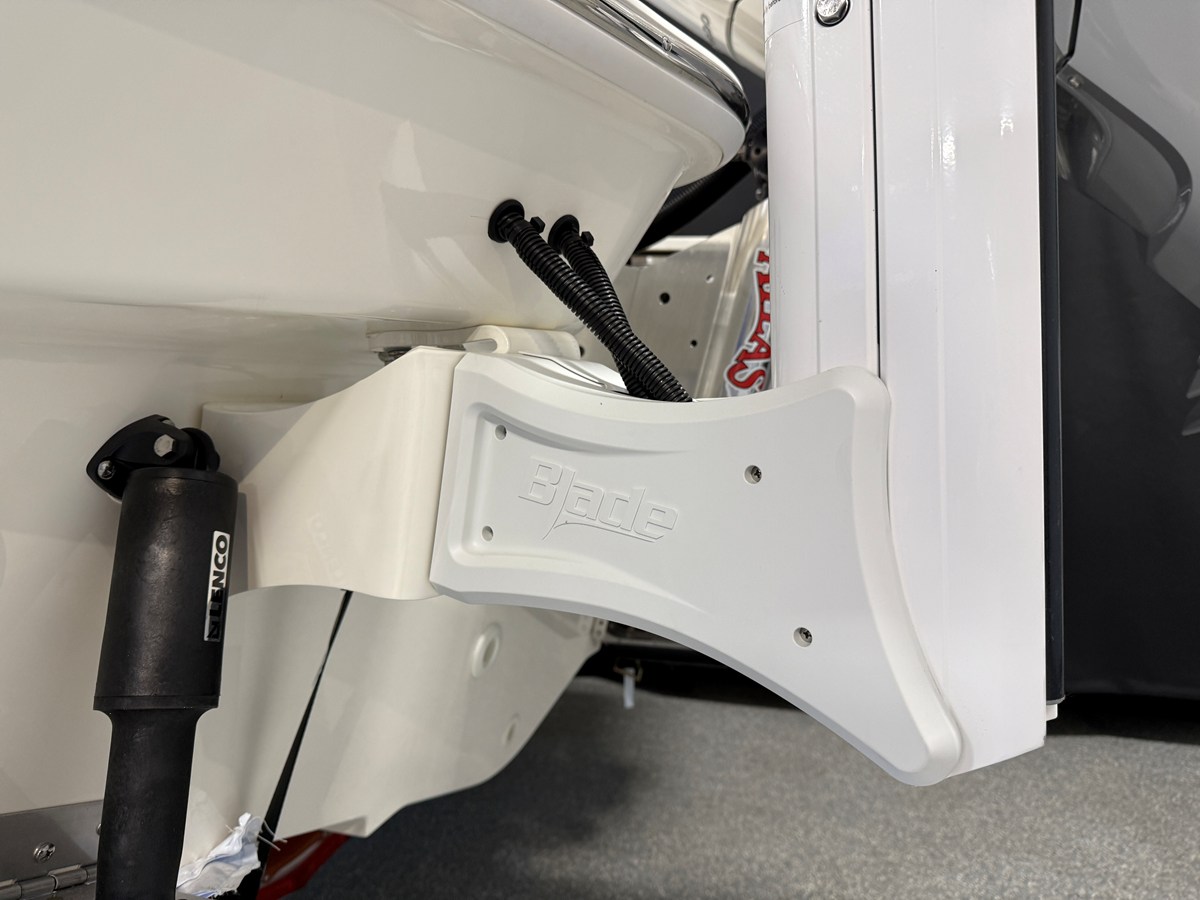 BOSTON WHALER 250 DAUNTLESS, photo 15