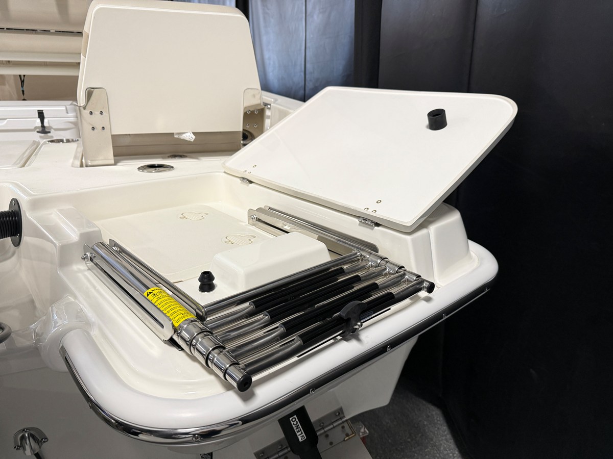 BOSTON WHALER 250 DAUNTLESS, photo 19