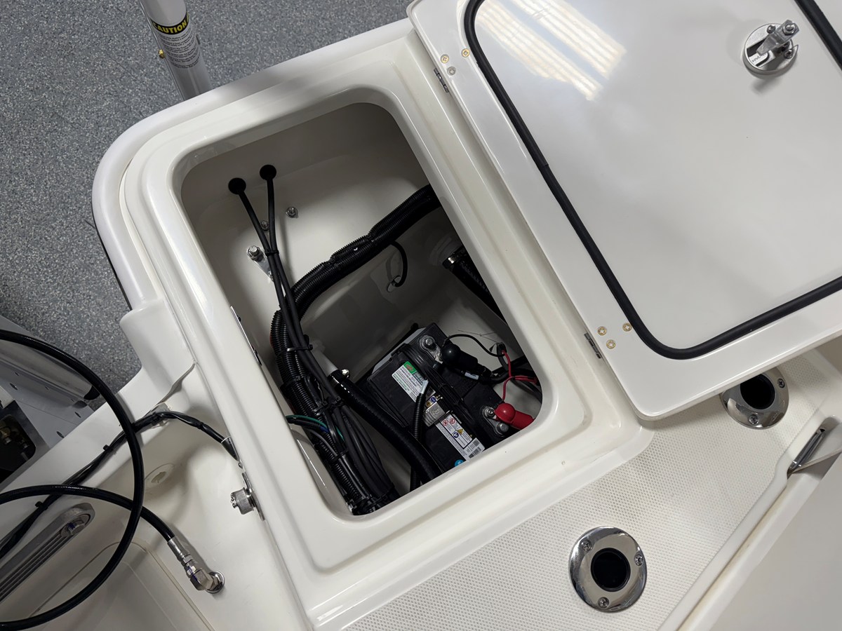 BOSTON WHALER 250 DAUNTLESS, photo 23