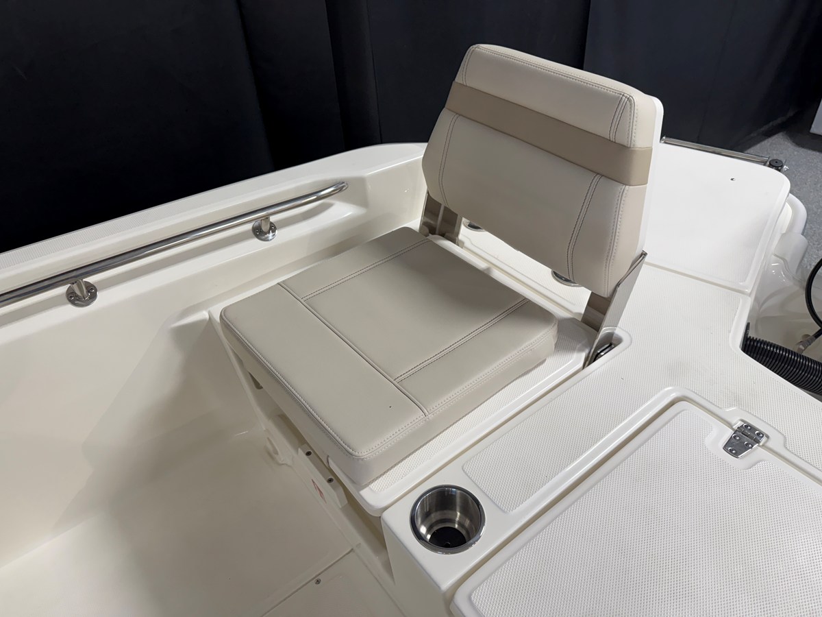 BOSTON WHALER 250 DAUNTLESS, photo 35