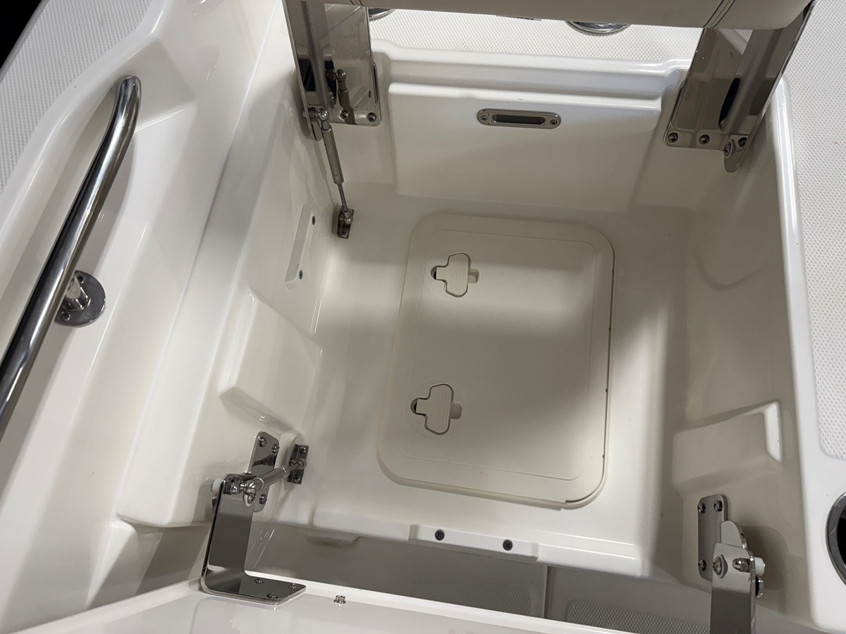 BOSTON WHALER 250 DAUNTLESS, photo 37