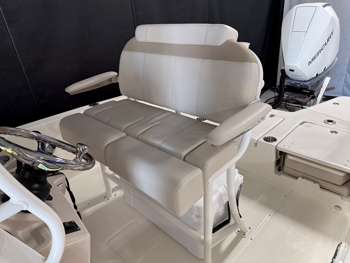 BOSTON WHALER 250 DAUNTLESS, photo 46