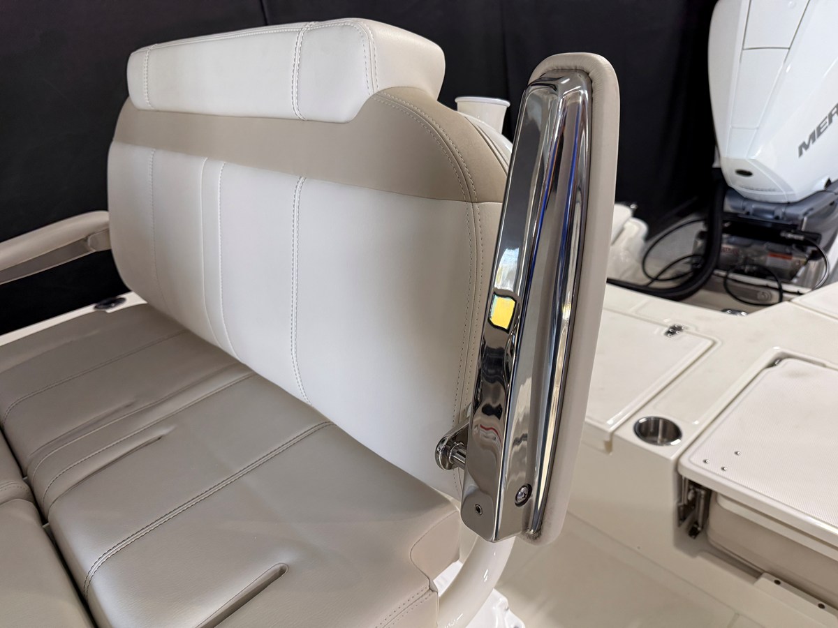 BOSTON WHALER 250 DAUNTLESS, photo 47