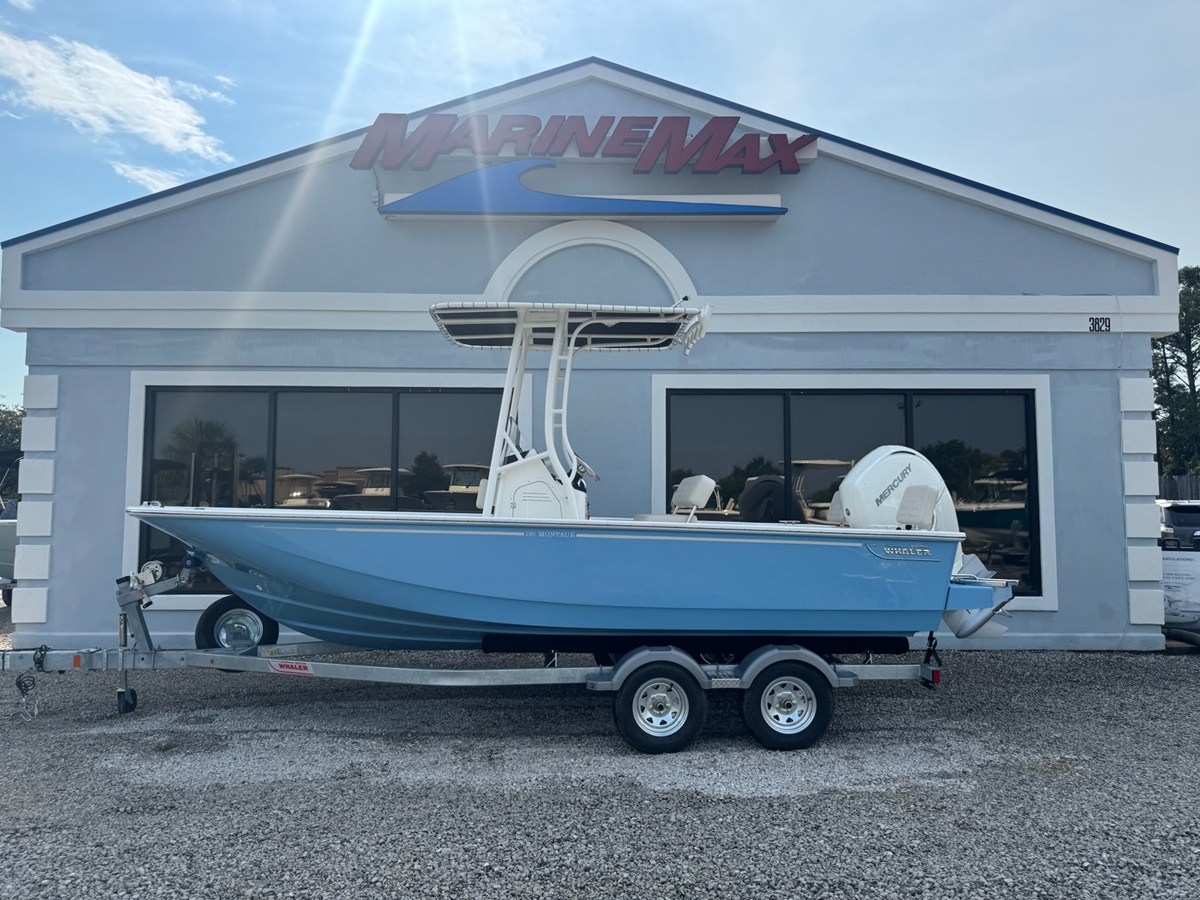 BOSTON WHALER 190 MONTAUK, photo 2