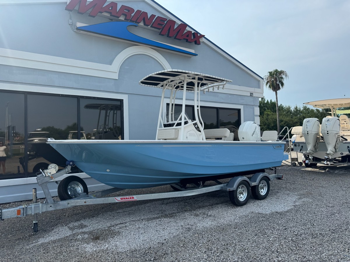 BOSTON WHALER 190 MONTAUK, photo 5