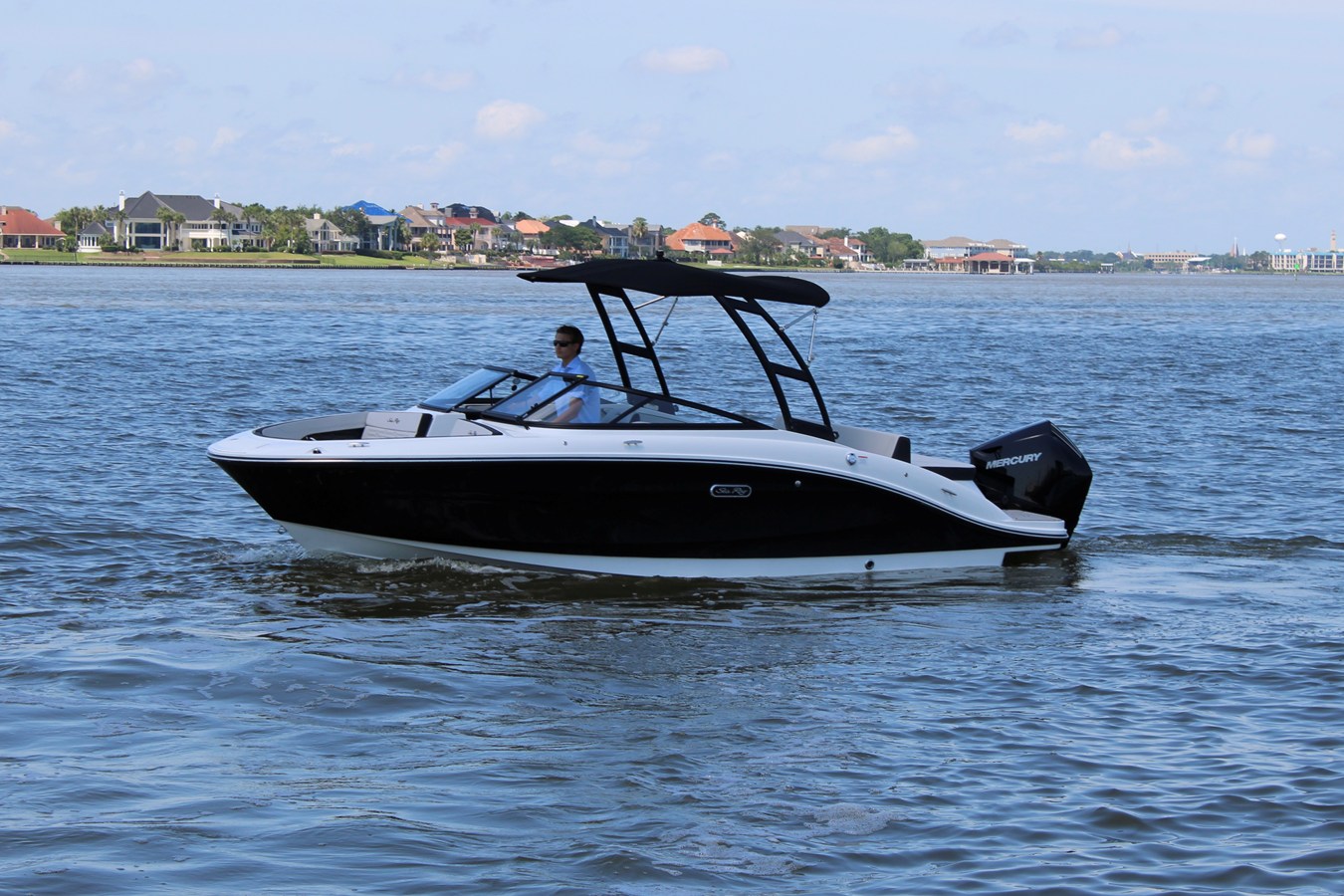 Sea Ray SEA RAY SPX 210 OUTBOARD