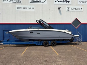 SEA RAY SDX 290
