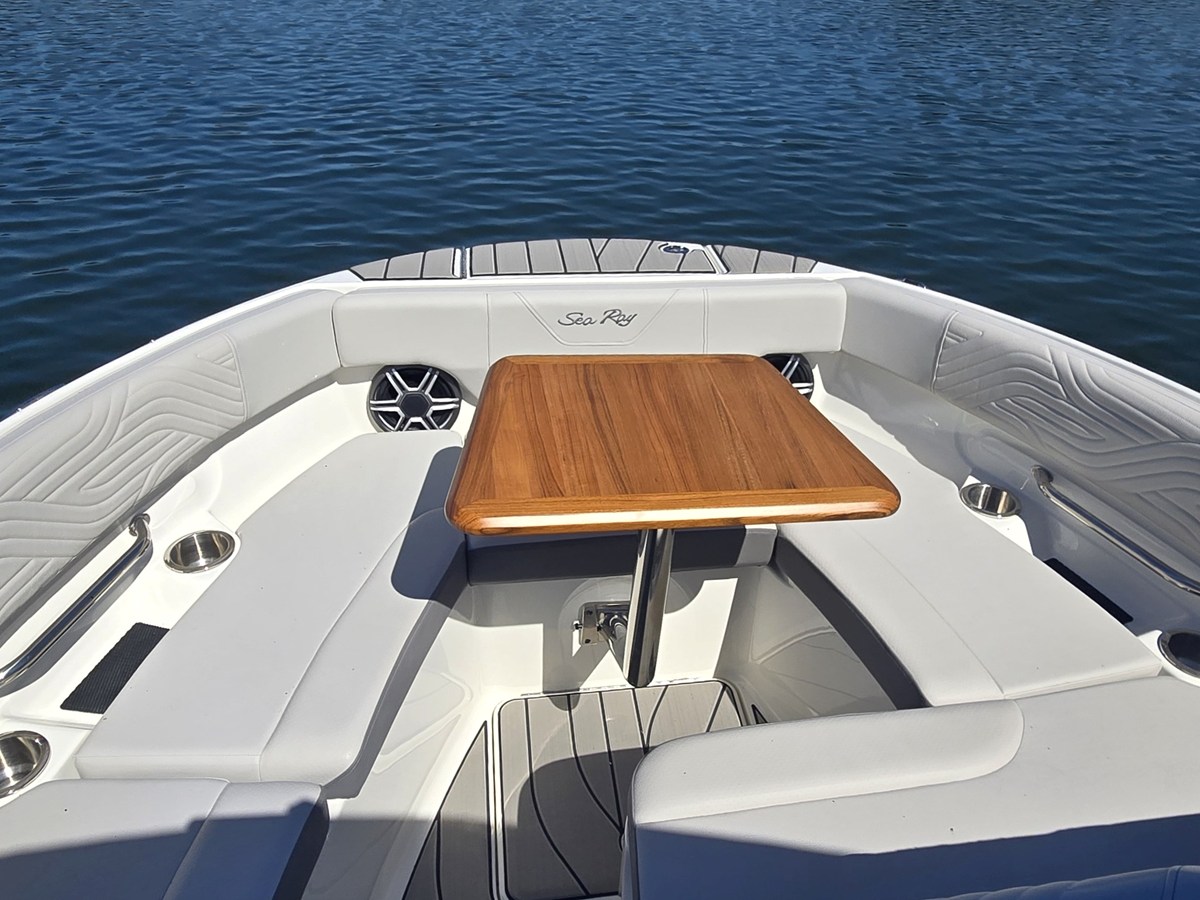 SEA RAY SDX 250 SURF, photo 35